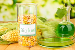 South Burlingham biofuel availability